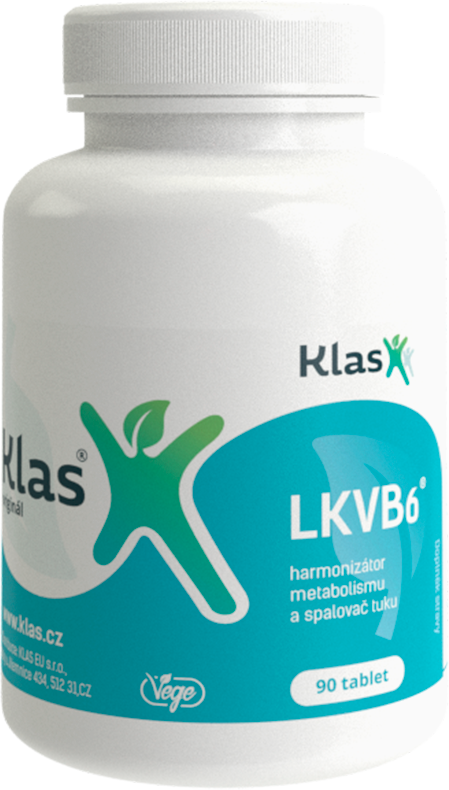 LKVB6 Klas 