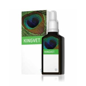 KINGVET bylinný preparát Energy | Produkty pre zvieratá
